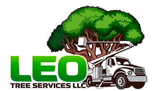 Leo Tree Service LLC